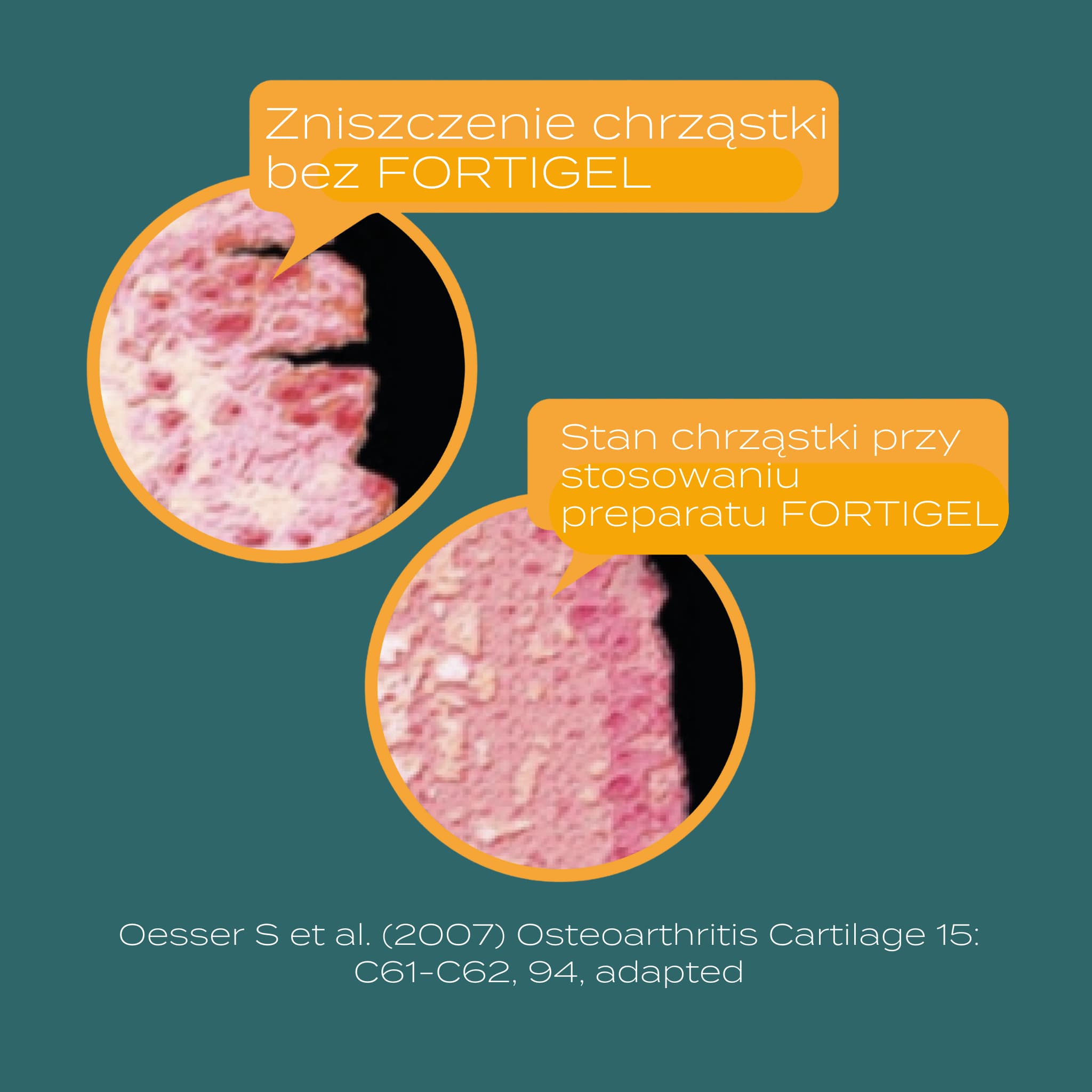 kolagenowe dzilanaie