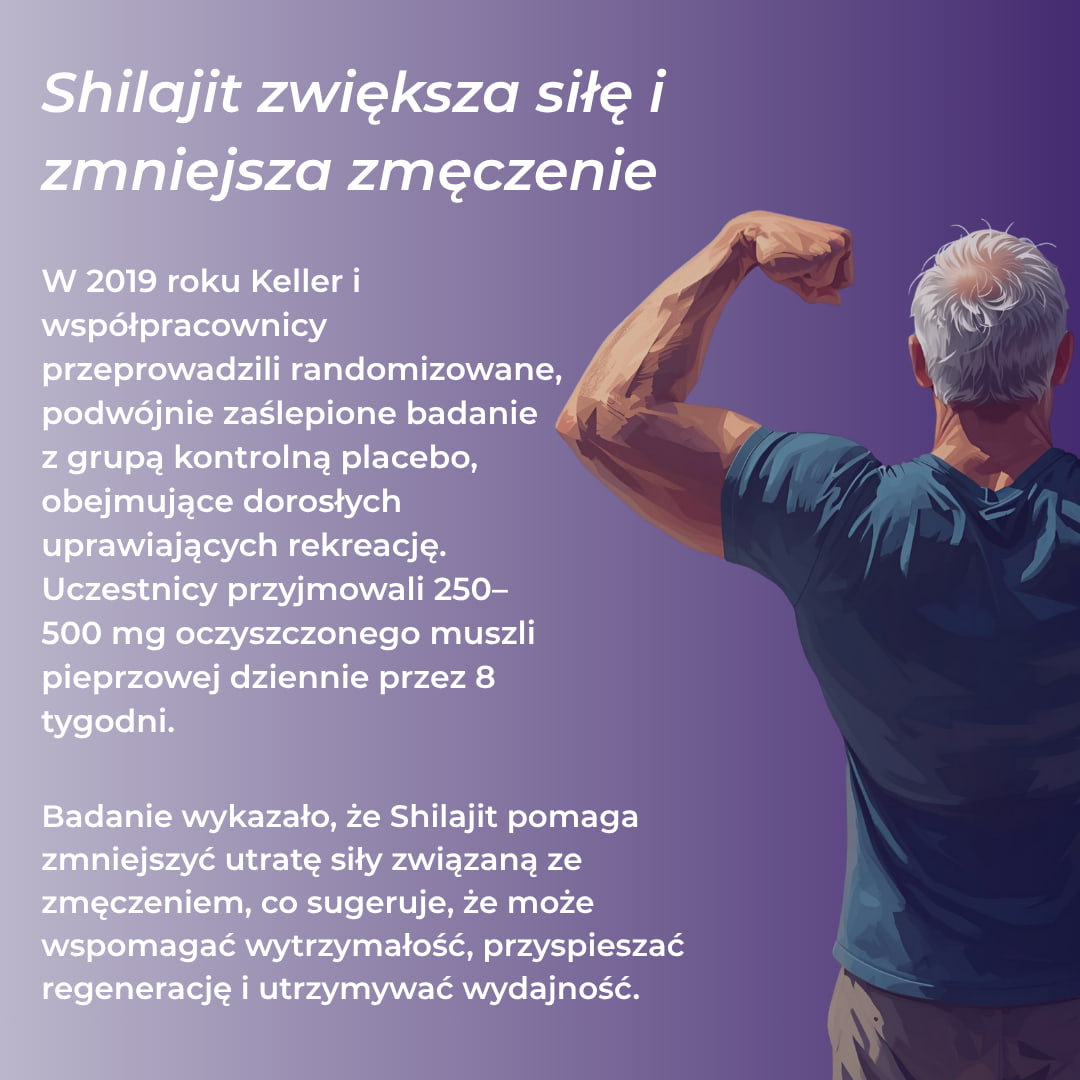 shilajit testosterone