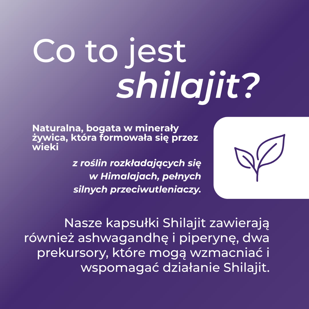shilajit co to