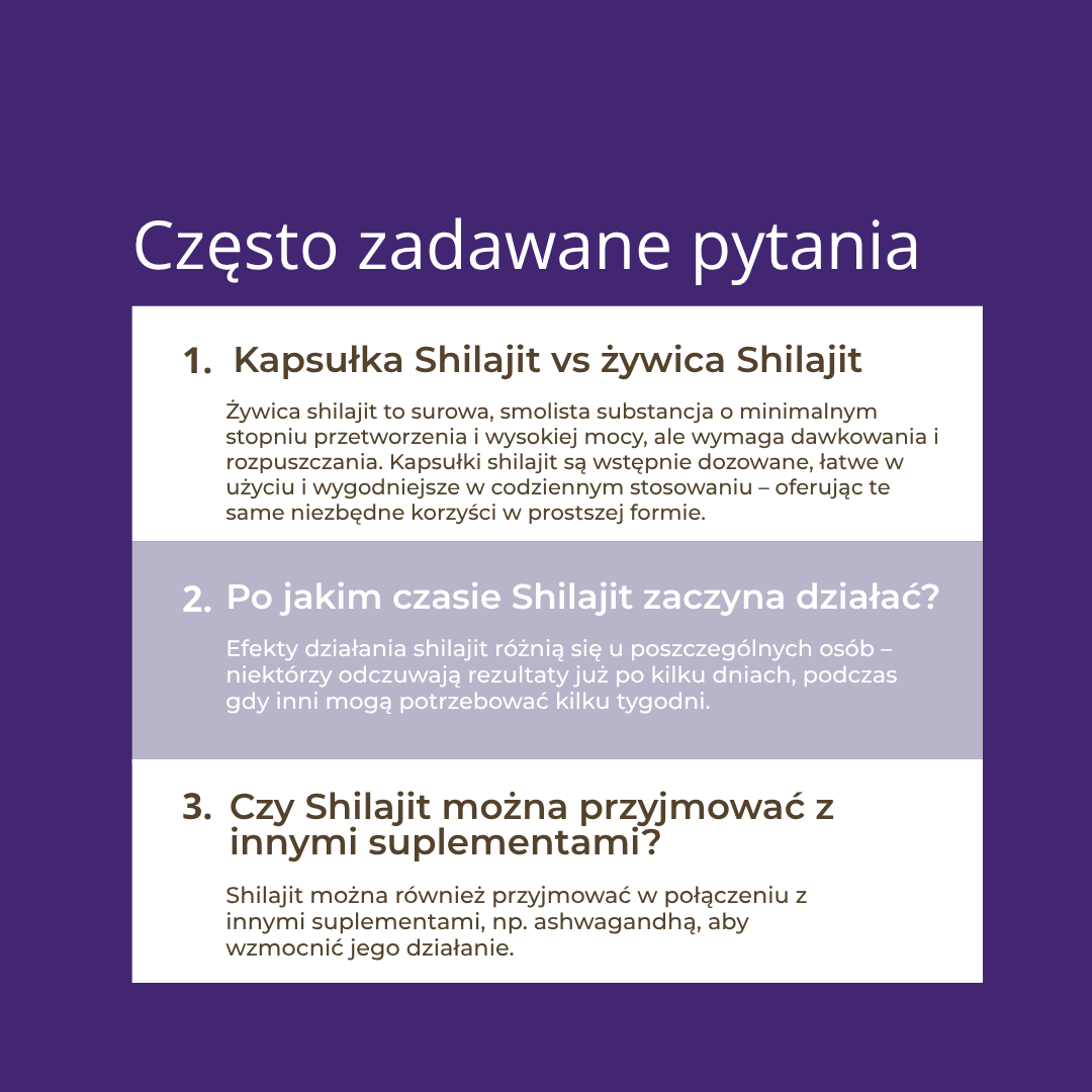 shilajit na co pomaga
