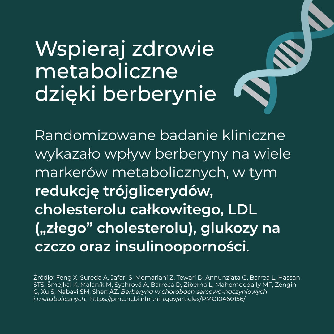 Berberyna a zdrowie metaboliczne – wpływ na cholesterol, glukozę i trójglicerydy