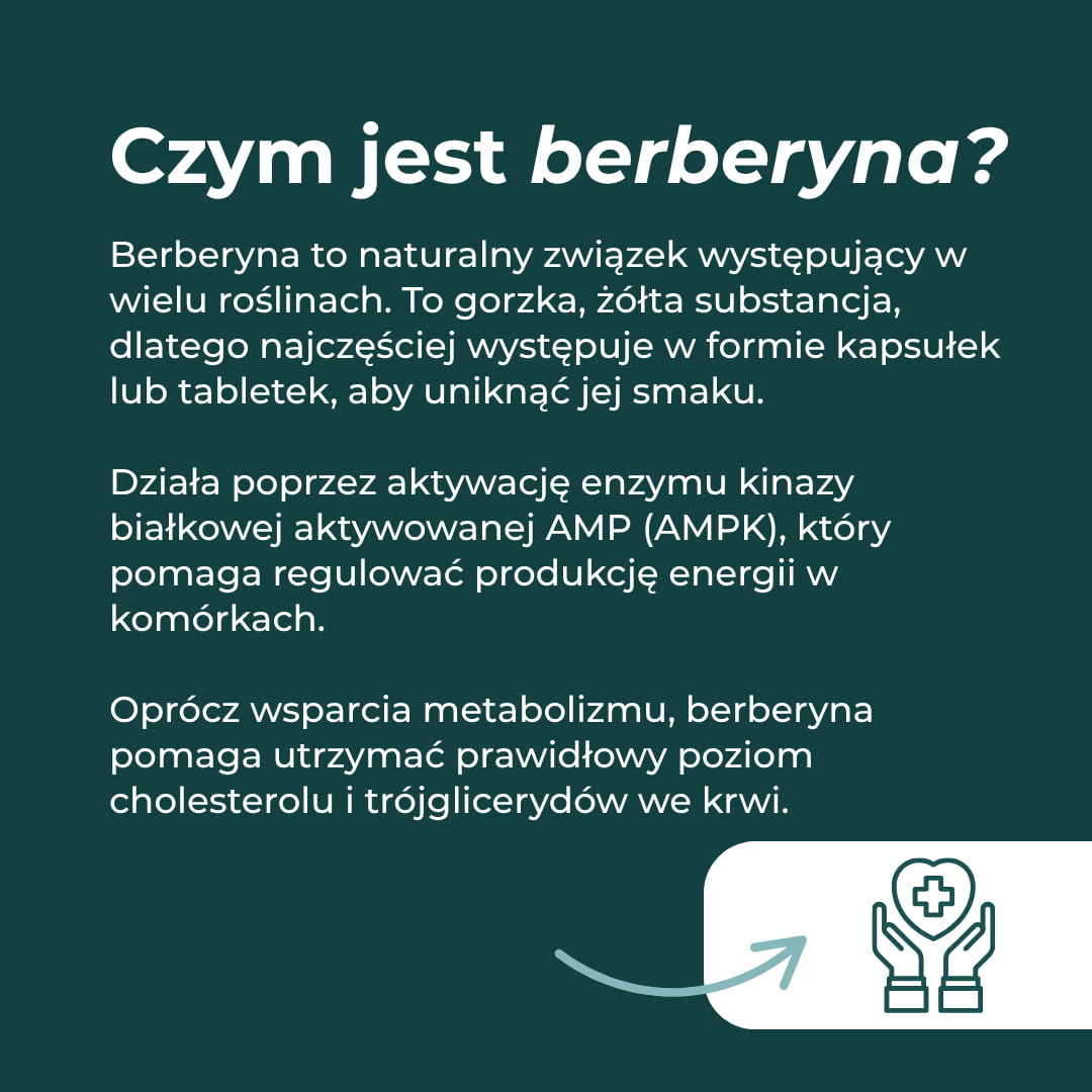 Czym jest berberyna – naturalny związek wspierający metabolizm i poziom cholesterolu