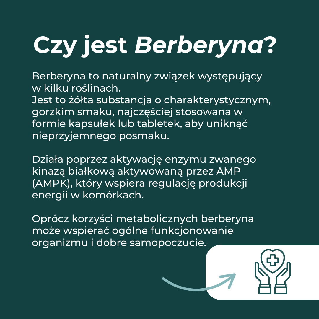 Czym jest berberyna – naturalny związek roślinny wspierający metabolizm
