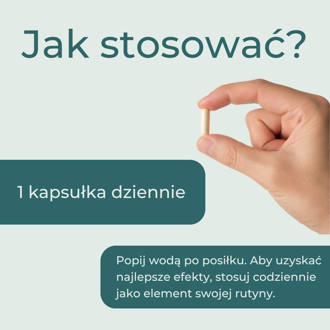 ak stosować KSM-66 Ashwagandha – jedna kapsułka dziennie po posiłku