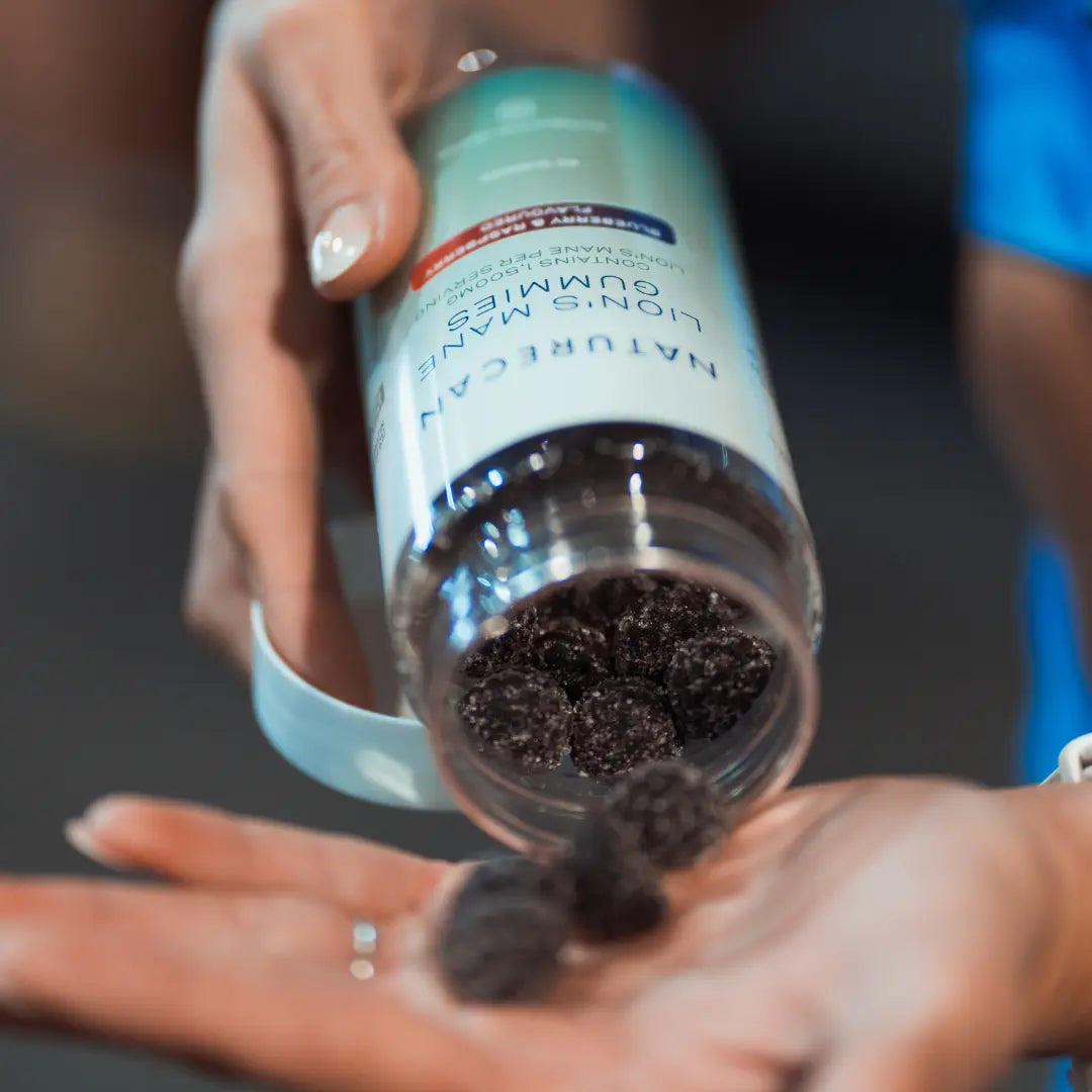 soplówka jeżowata suplement