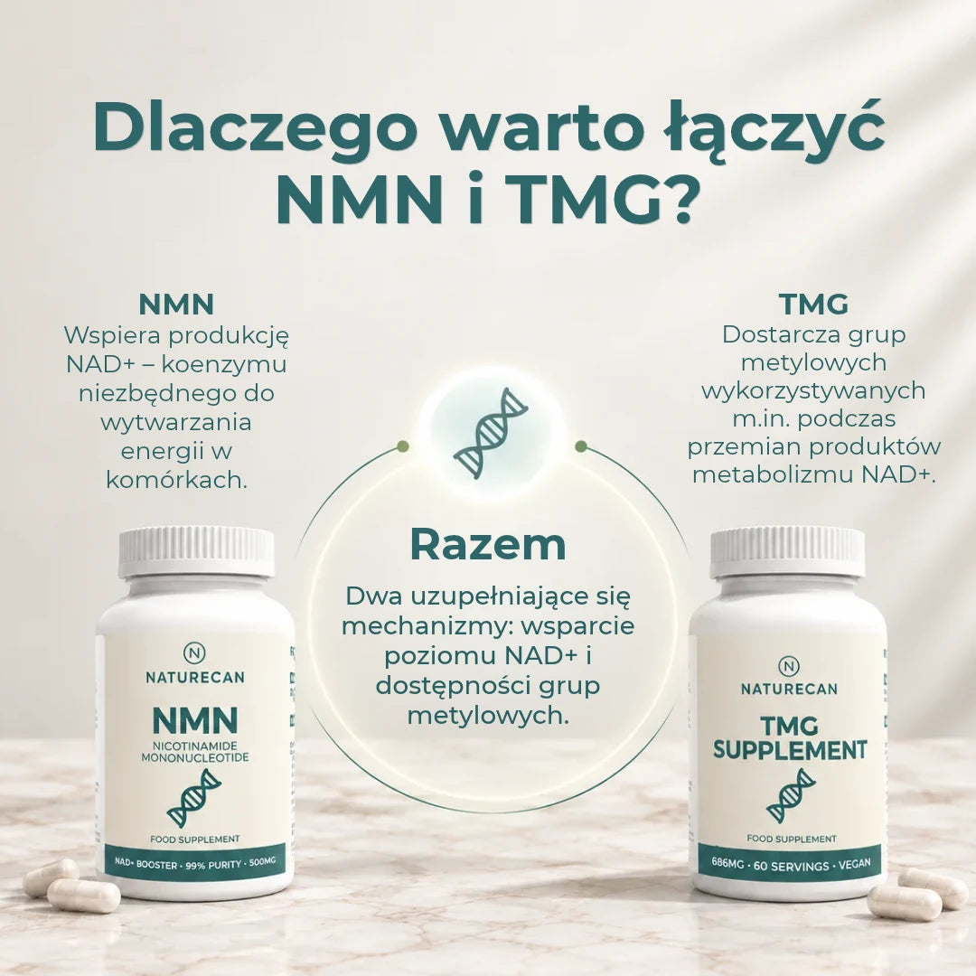 Infografika wyjaśniająca połączenie NMN i TMG oraz rolę grup metylowych w metabolizmie NAD+.