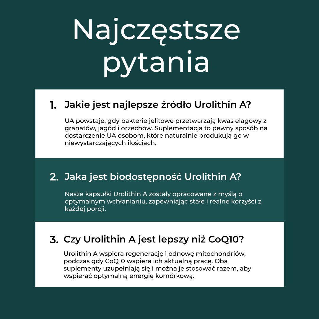 Najczęstsze pytania o Urolithin A – źródła UA, biodostępność, porównanie z CoQ10