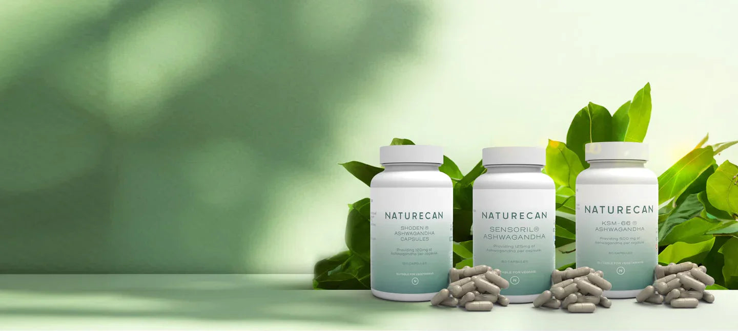 Ashwagandha przewodnik - działanie, dawkowanie i opinie