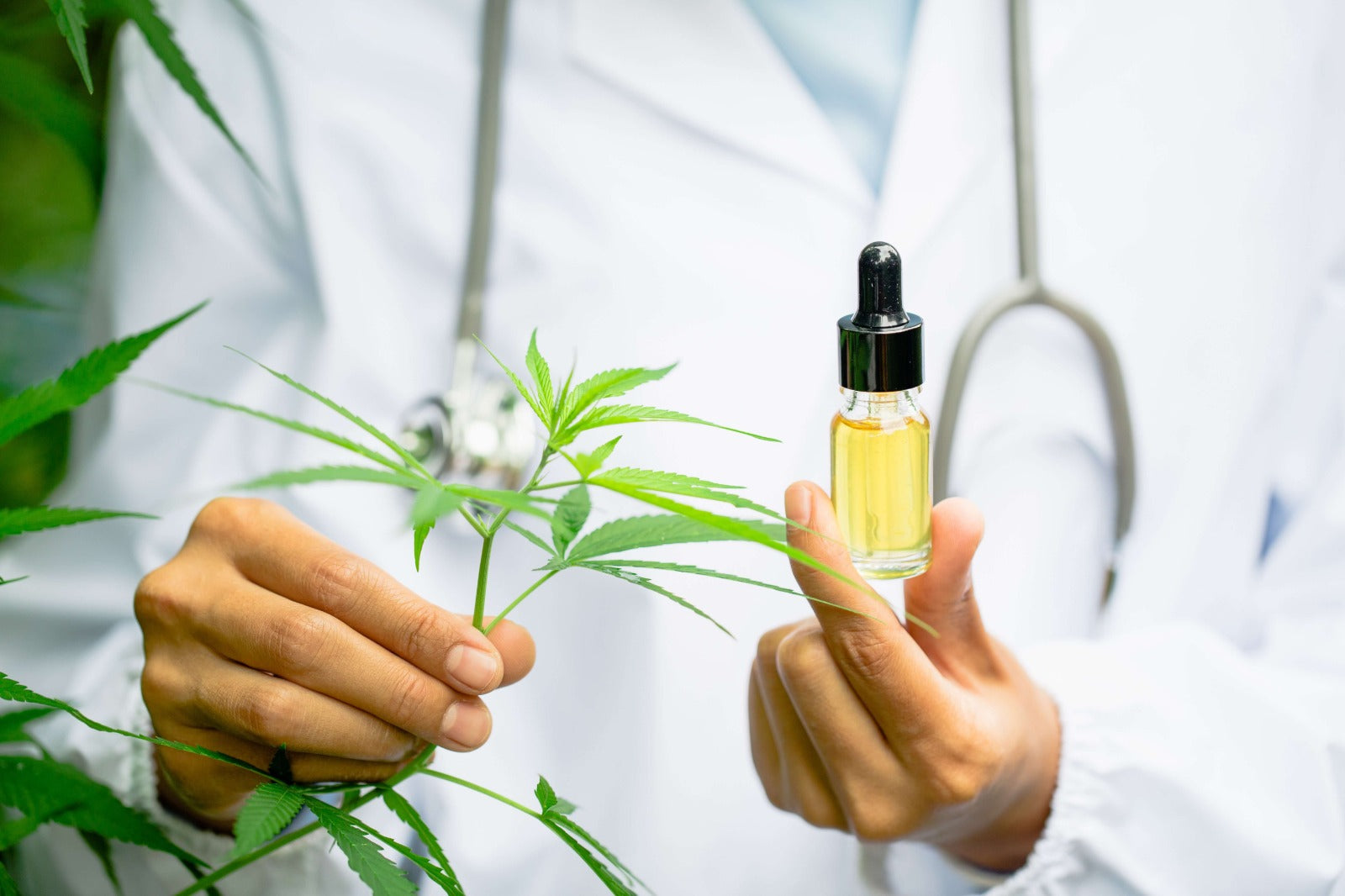 CO TO JEST UKŁAD ENDOKANNABINOIDOWY?