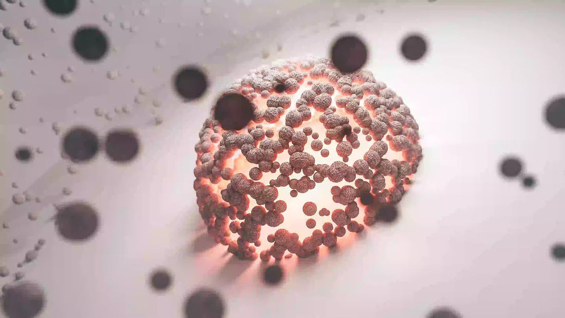 Co to jest spermidyna i jakie ma działanie?