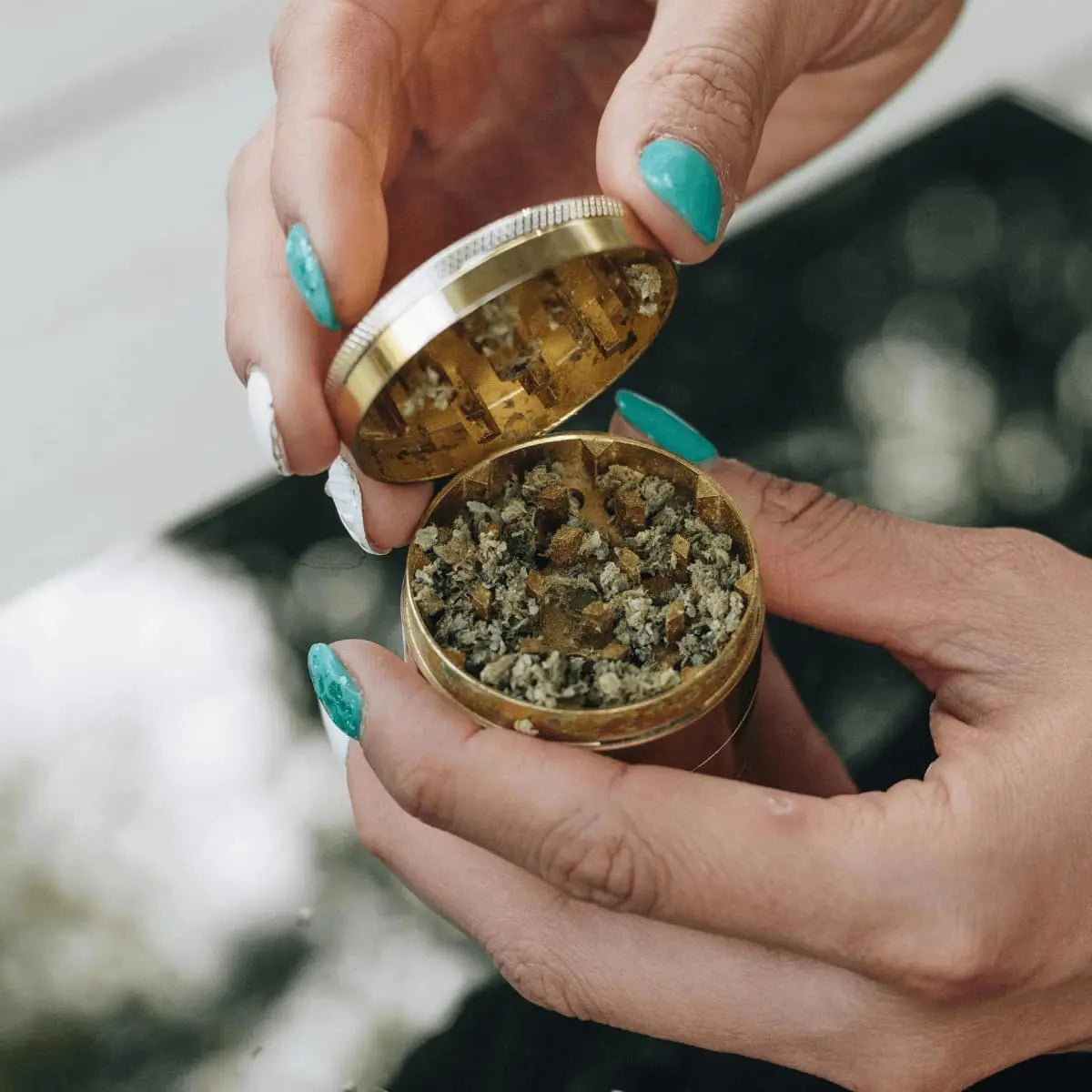 Zastosowanie kwiatów CBD