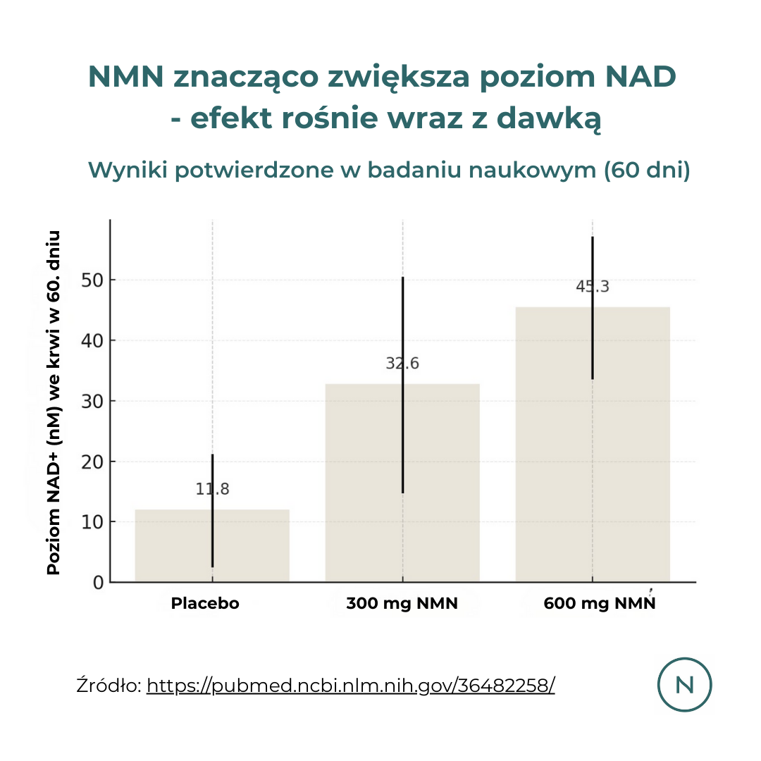 Wykres z badania naukowego: suplementacja NMN po 60 dniach zwiększa poziom NAD w sposób zależny od dawki – 300 mg i 600 mg znacząco wyższe niż placebo.