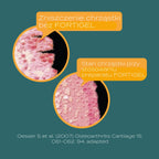 kolagenowe dzilanaie