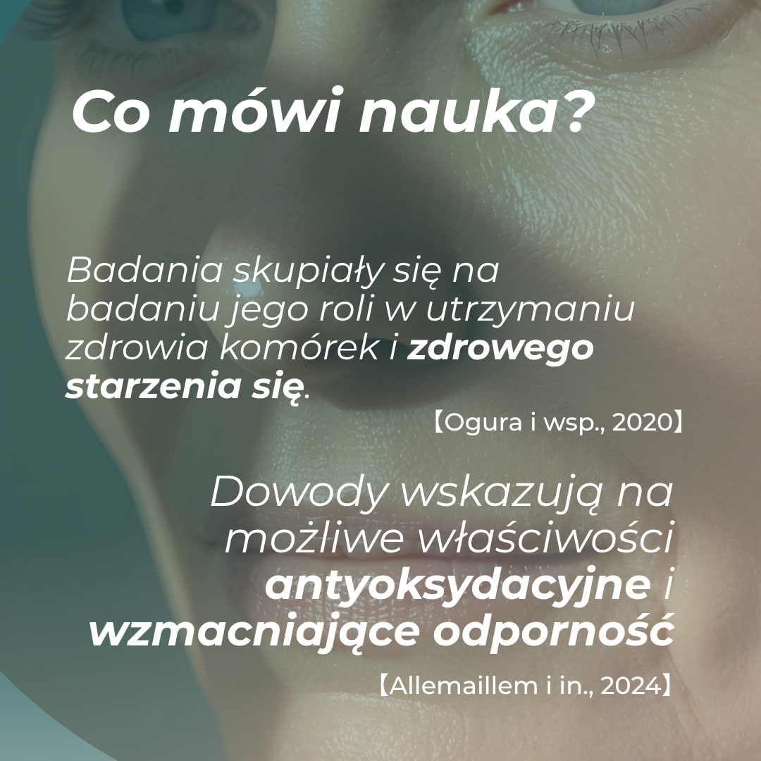 apigenina jak stosować