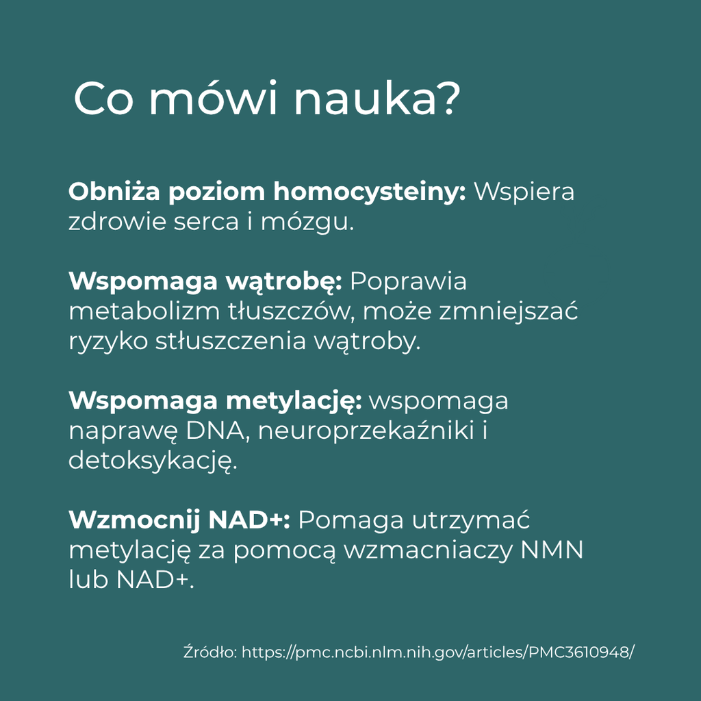 tmg właściwości