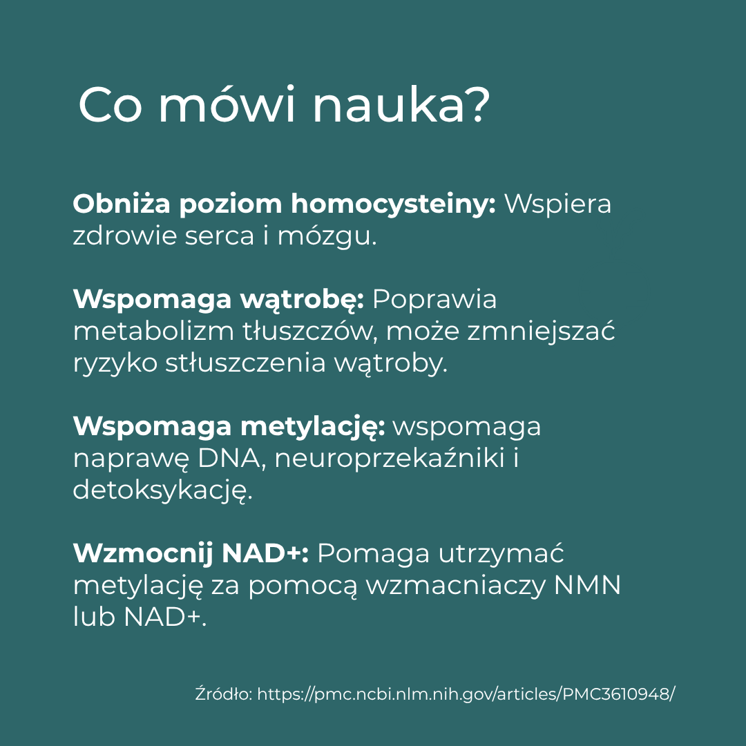 tmg właściwości