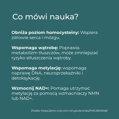 tmg właściwości