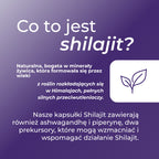 shilajit co to