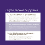 shilajit na co pomaga