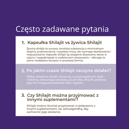 shilajit na co pomaga