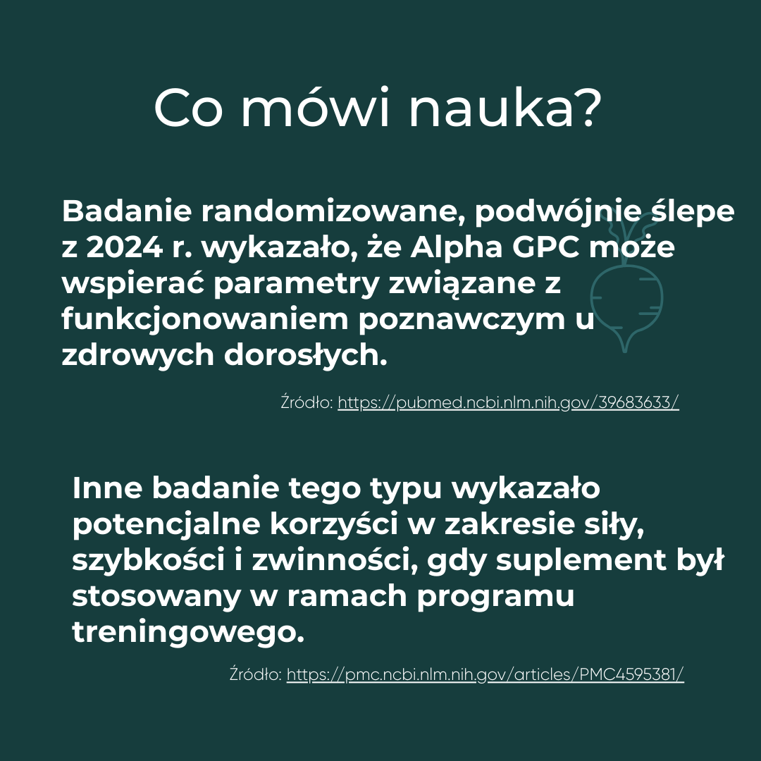 Podsumowanie badań naukowych dotyczących działania Alpha-GPC na funkcje poznawcze i wydolność.