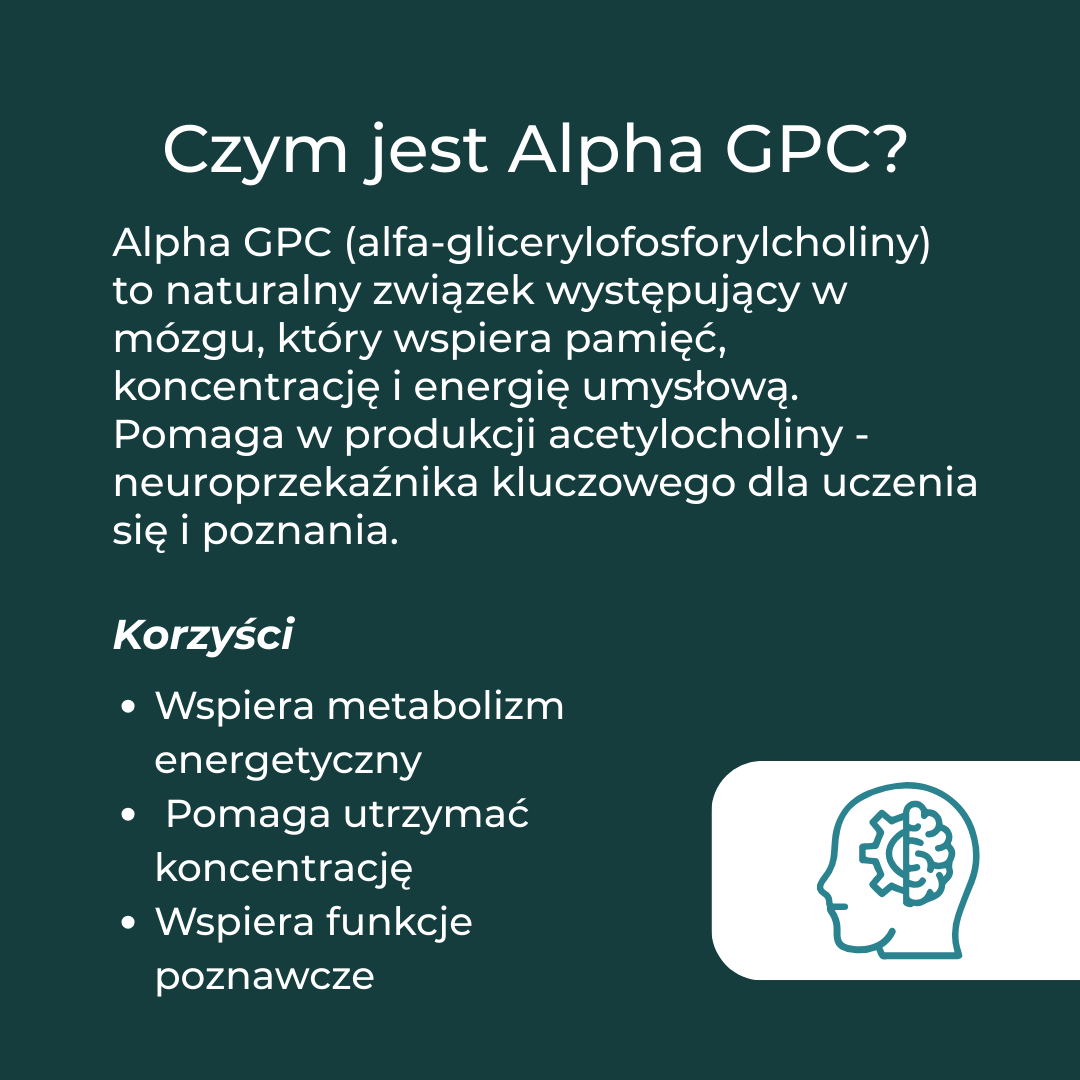 Wyjaśnienie czym jest Alpha-GPC i jak wspiera pamięć, koncentrację oraz produkcję acetylocholiny.