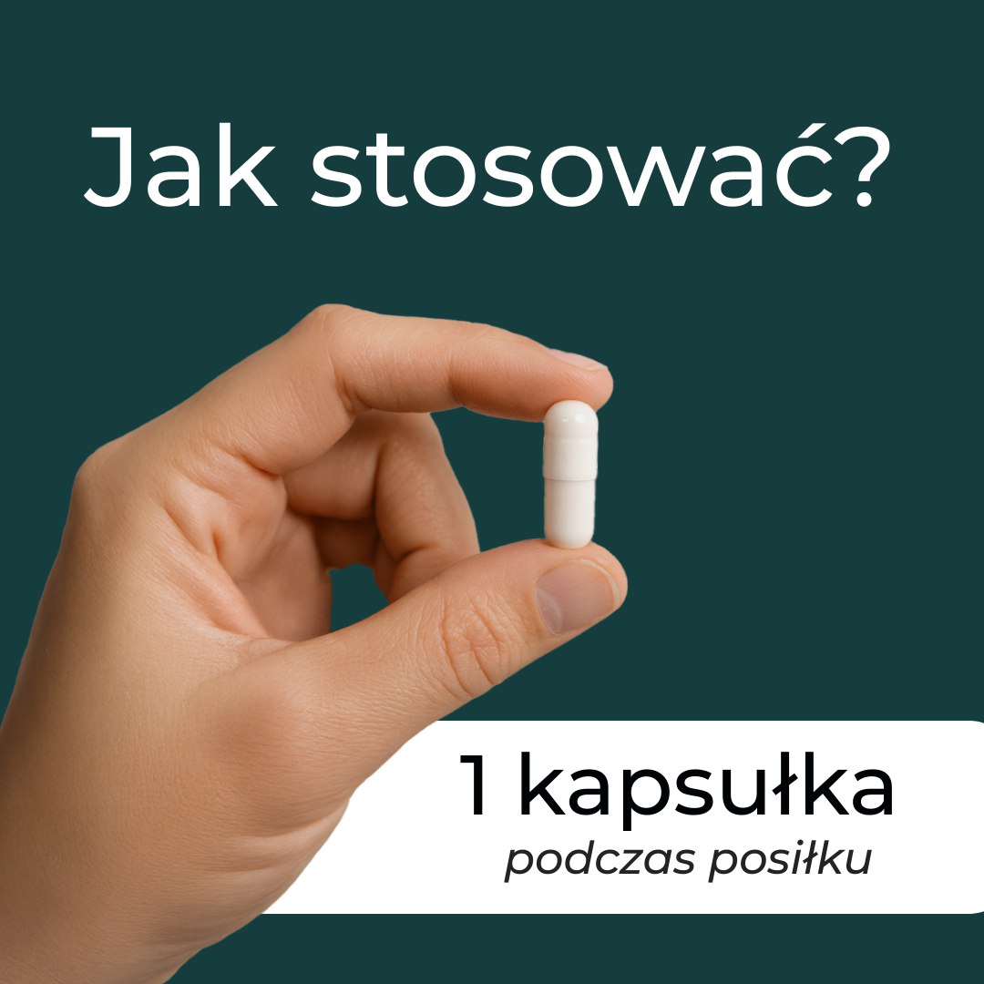 Instrukcja stosowania Alpha-GPC – jedna kapsułka dziennie podczas posiłku.