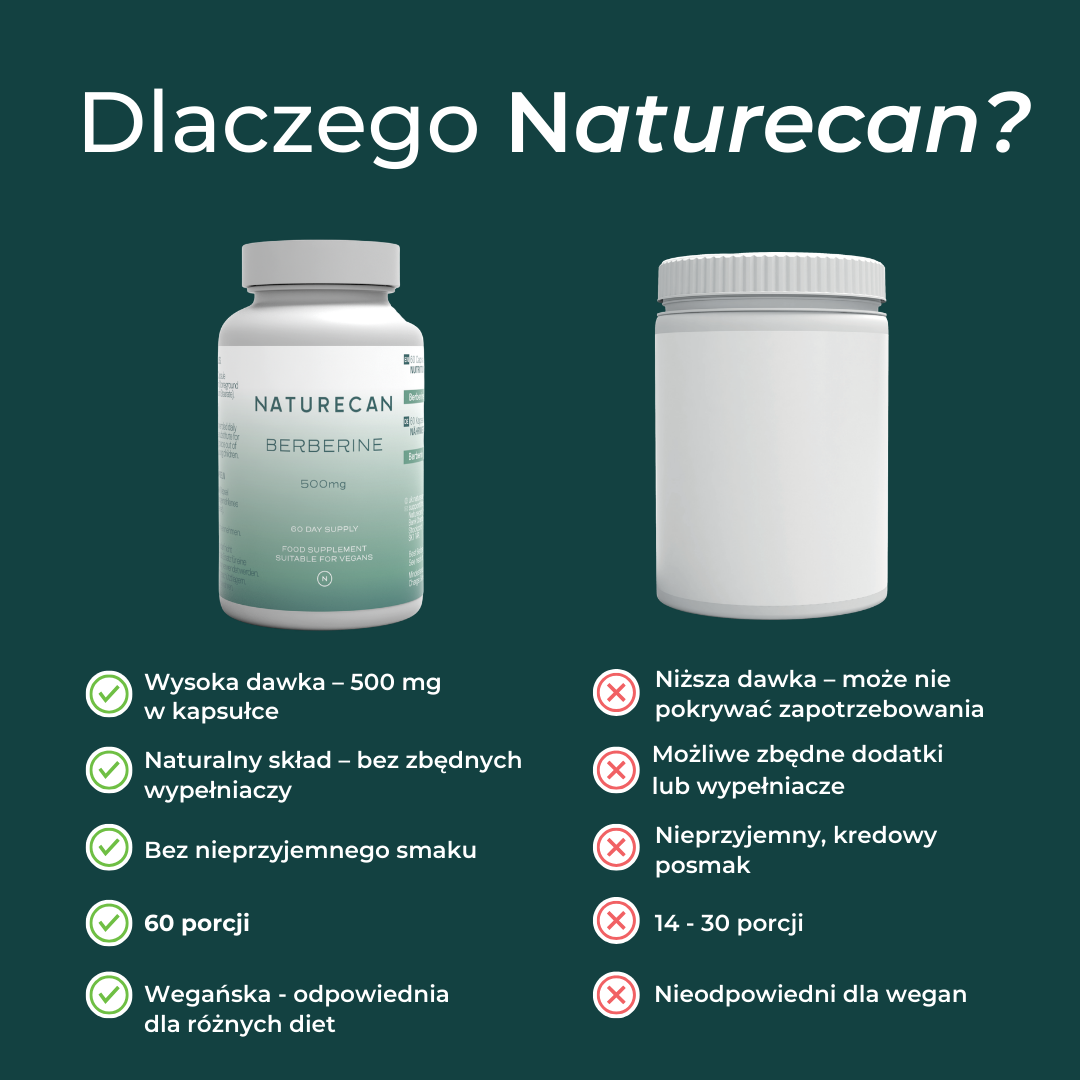 Berberyna – badania naukowe dotyczące wsparcia metabolizmu i kontroli masy ciała