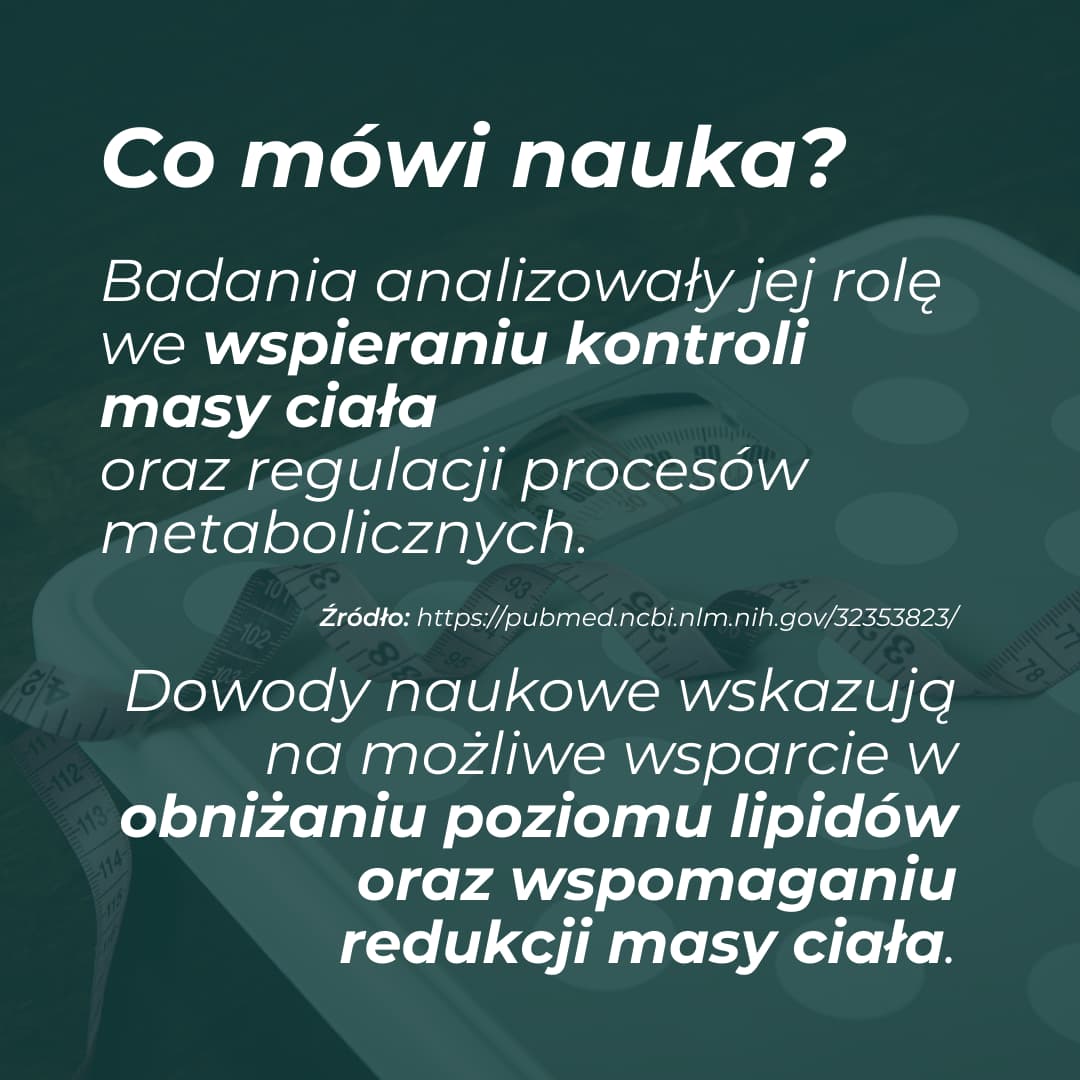 Berberyna – badania naukowe dotyczące wsparcia metabolizmu i kontroli masy ciała
