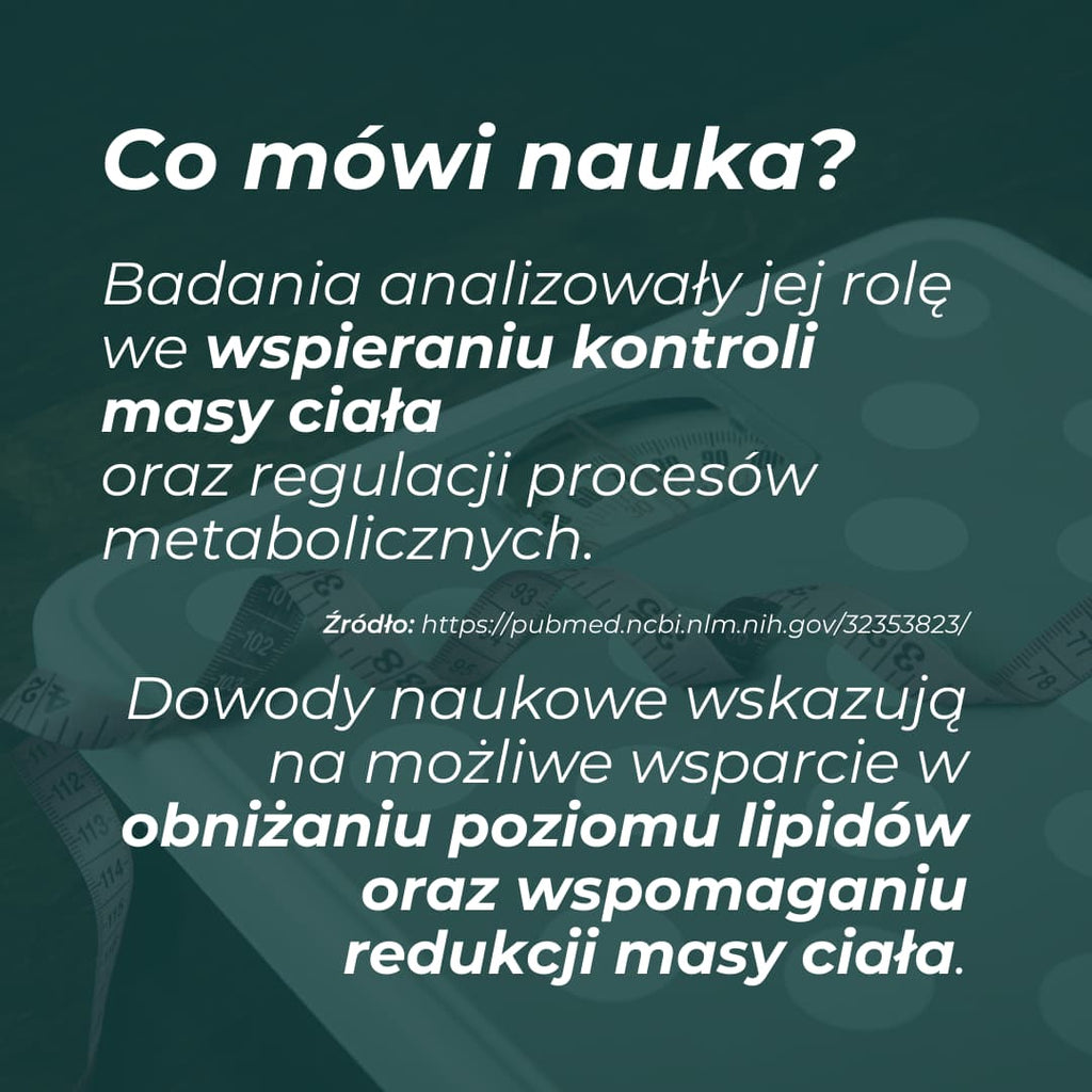 Berberyna – badania naukowe dotyczące wsparcia metabolizmu i kontroli masy ciała