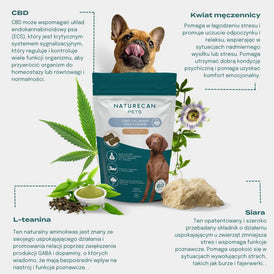 Grafika przedstawiająca uspokajające przysmaki CBD dla psa Naturecan oraz składniki: CBD, kwiat męczennicy, L-teanina i siara.