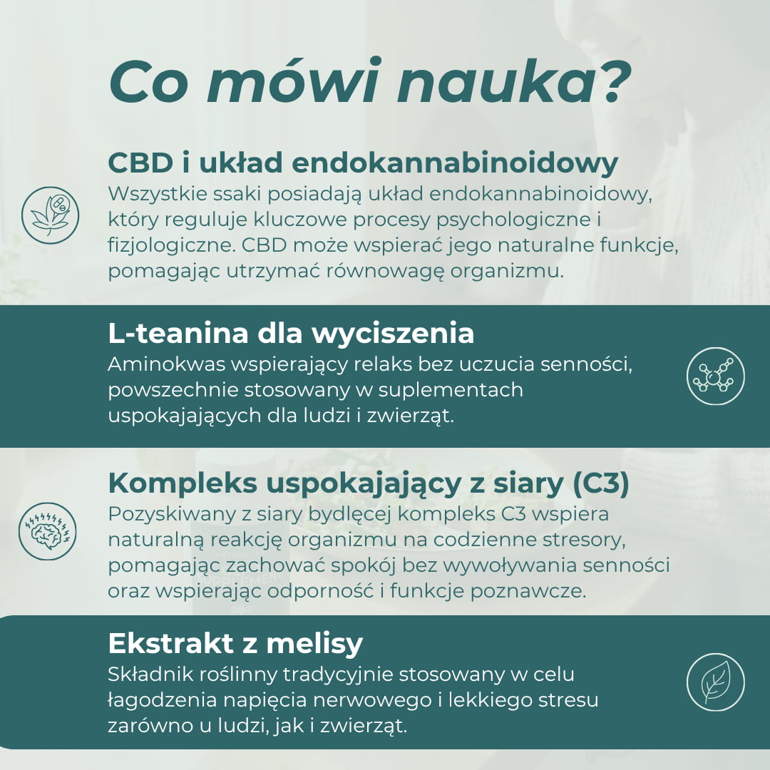 CBD przysmaki dla psa na uspokojenie