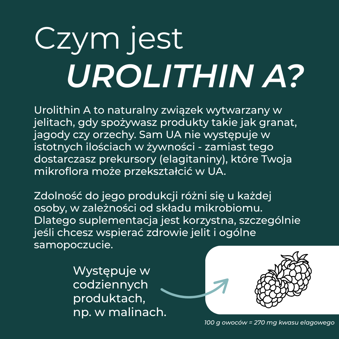 Wyjaśnienie czym jest Urolithin A – naturalny związek wspierający zdrowie mitochondriów i procesy komórkowe