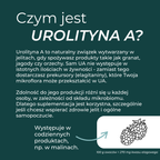 Wyjaśnienie czym jest Urolithin A – naturalny związek wspierający zdrowie mitochondriów i procesy komórkowe