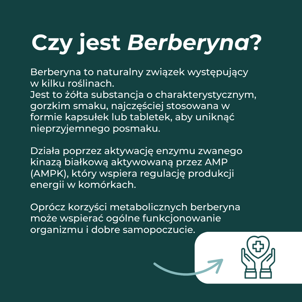 Czym jest berberyna – naturalny związek roślinny wspierający metabolizm