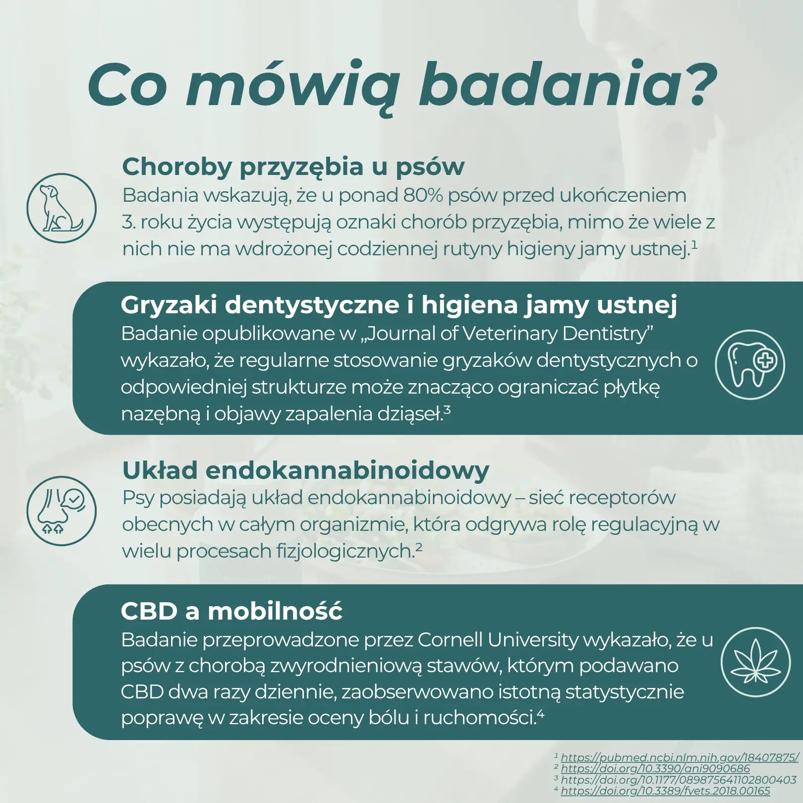Gryzaki dentystyczne dla psa – badania dotyczące higieny jamy ustnej i CBD