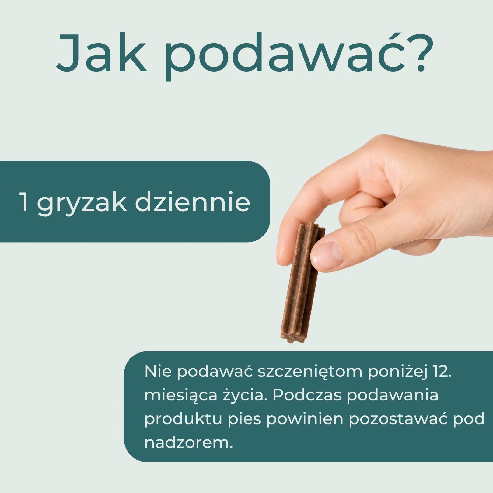 Jak podawać gryzaki dentystyczne z CBD dla psa – 1 gryzak dziennie
