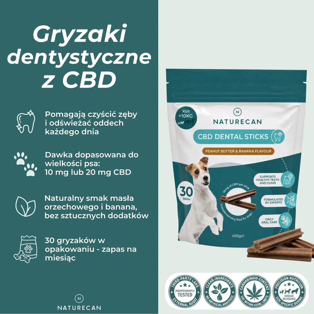 Gryzaki dentystyczne z CBD dla psa – 10 mg lub 20 mg CBD i naturalny smak