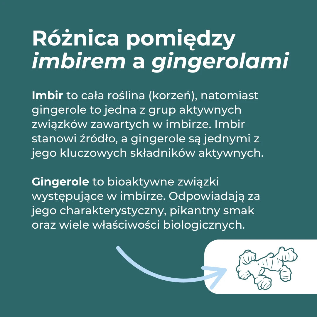 Różnica między imbirem a gingerolami – bioaktywne związki zawarte w korzeniu imbiru