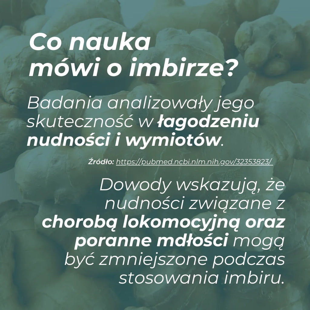 Co mówi nauka o imbirze – badania dotyczące wpływu imbiru na nudności, chorobę lokomocyjną i poranne mdłości