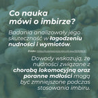 Co mówi nauka o imbirze – badania dotyczące wpływu imbiru na nudności, chorobę lokomocyjną i poranne mdłości