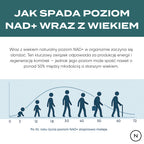 Infografika przedstawiająca naturalny spadek poziomu NAD+ w organizmie wraz z wiekiem oraz jego wpływ na energię i regenerację.
