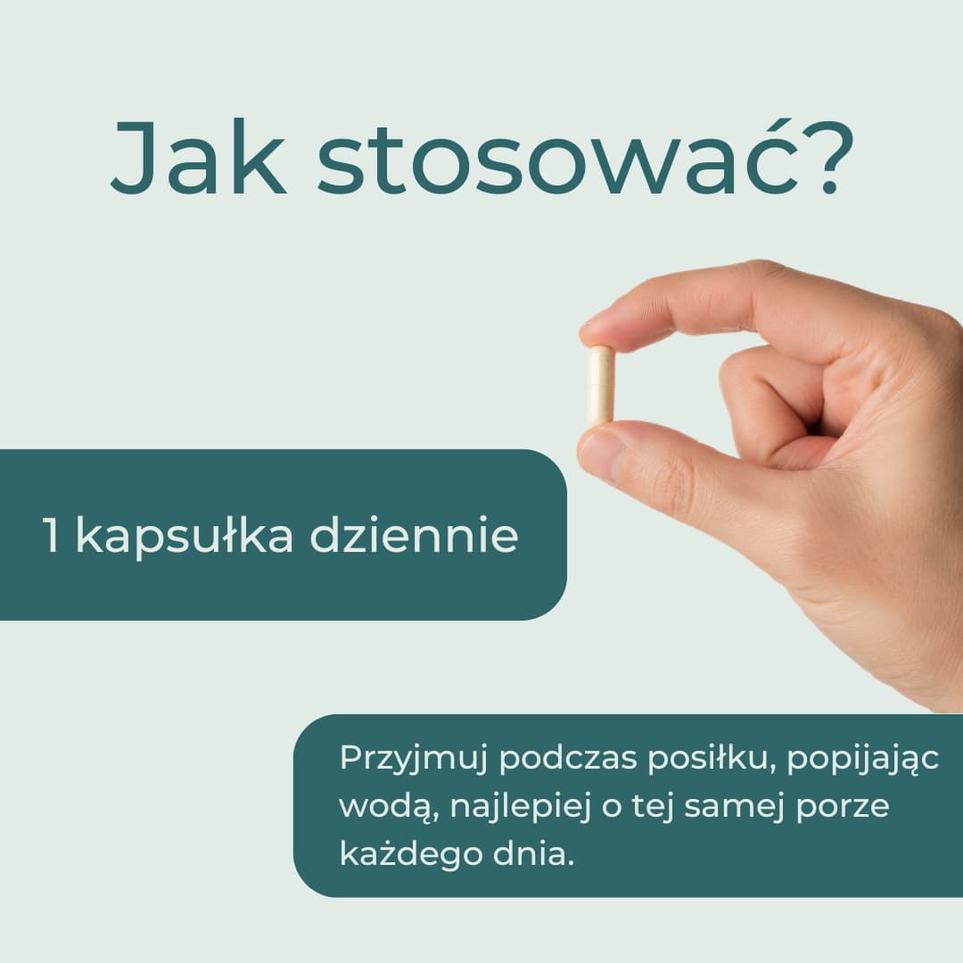 Jak stosować NAC 600 mg – jedna kapsułka dziennie podczas posiłku