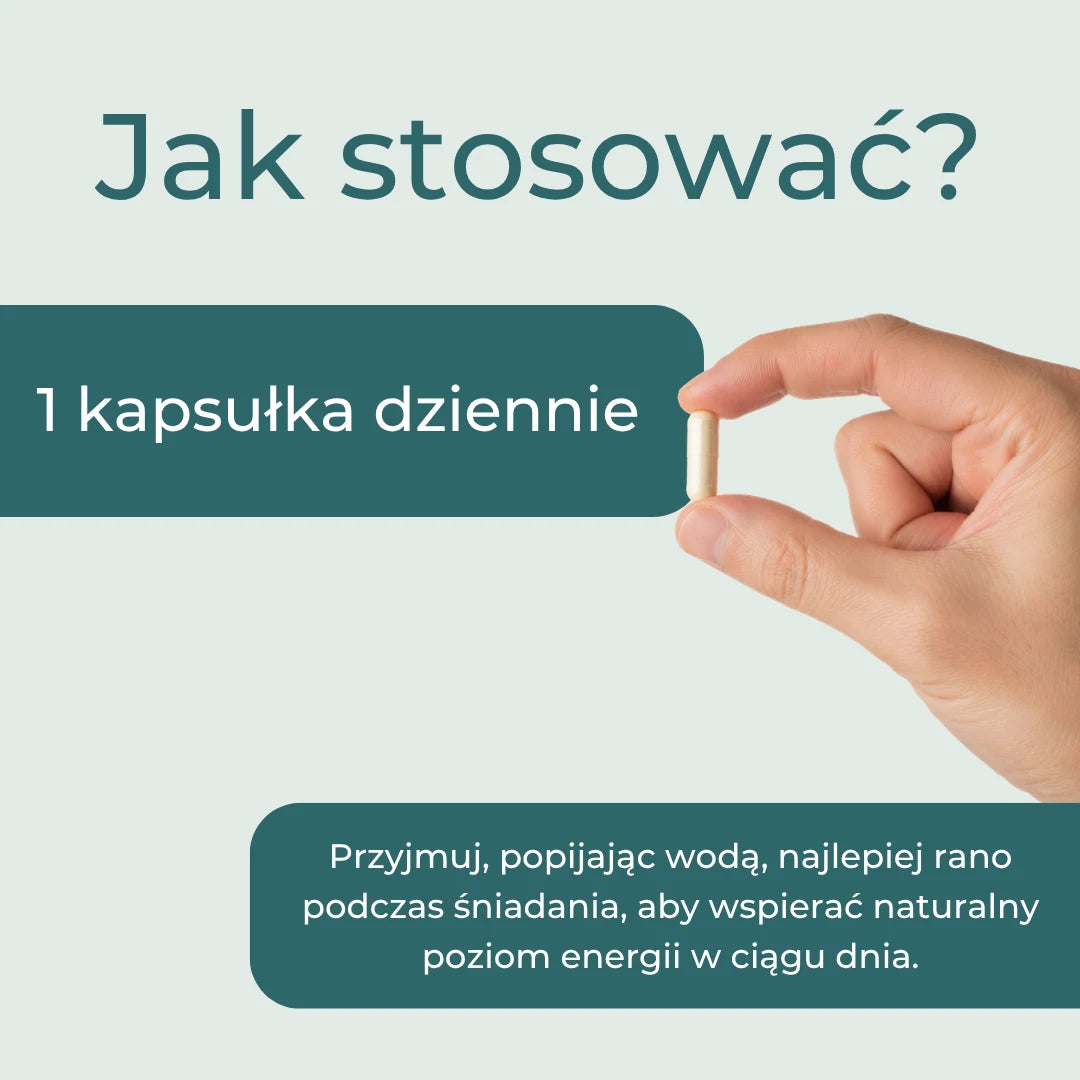 Jak stosować suplement NAD+ NR – jedna kapsułka dziennie