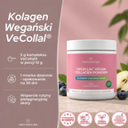 Kolagen wegański VeCollal® Naturecan w proszku o smaku borówki i zielonego jabłka – opakowanie 300 g, 30 porcji.