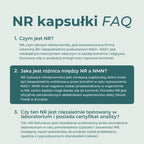 NAD+ suplement FAQ – czym jest NR, czym różni się od NMN i jak jest testowany