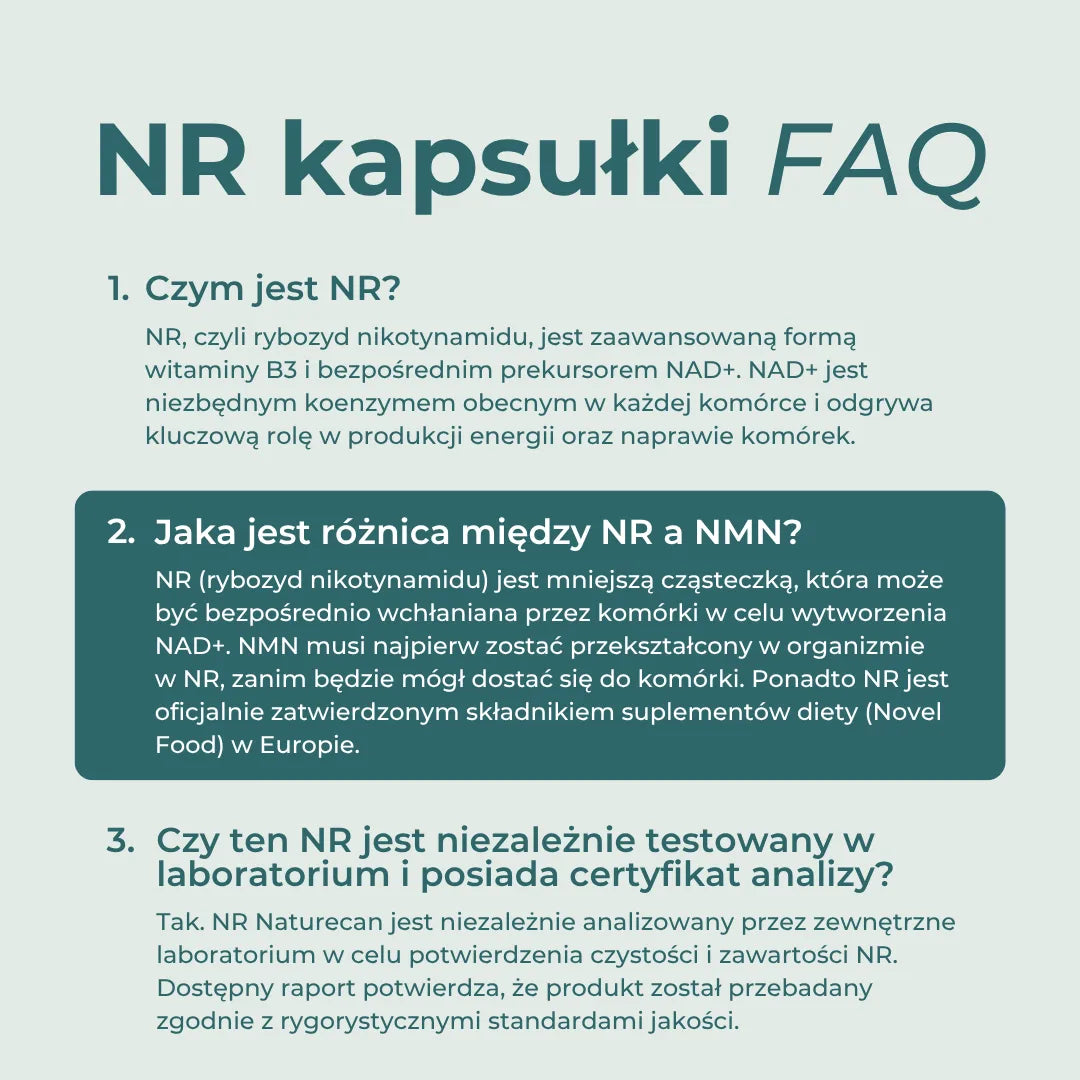 NAD+ suplement FAQ – czym jest NR, czym różni się od NMN i jak jest testowany