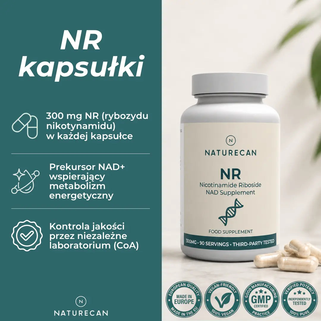 Suplement NAD+ z 300 mg NR – kapsułki z rybozydem nikotynamidu Naturecan