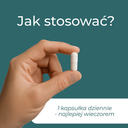 Jak stosować apigeninę – 1 kapsułka 30–60 minut przed snem