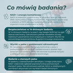 NMN dla psów – podsumowanie badań naukowych dotyczących NAD+, tolerancji NMN i wstępnych wyników badań na psach.